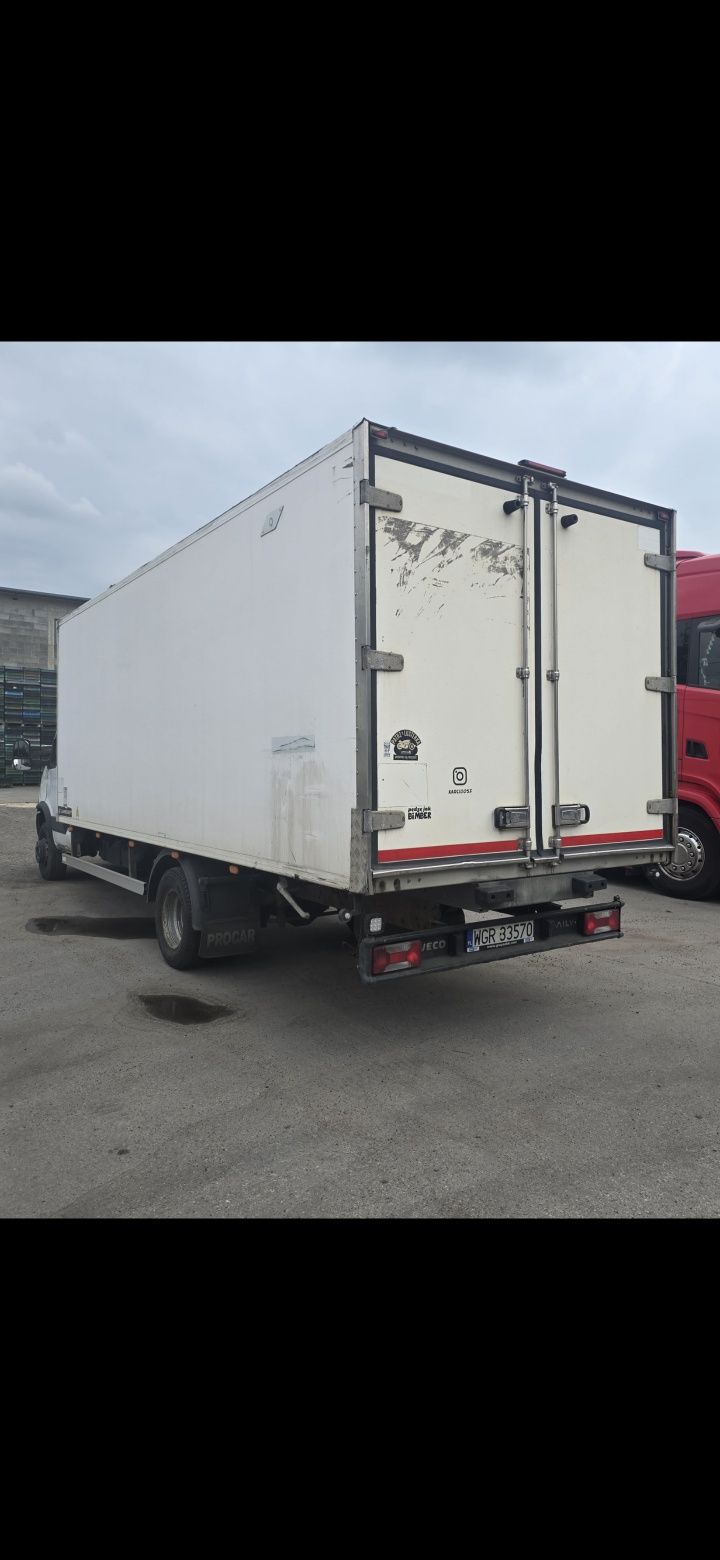 cub  iveco frigorific    iveco daily