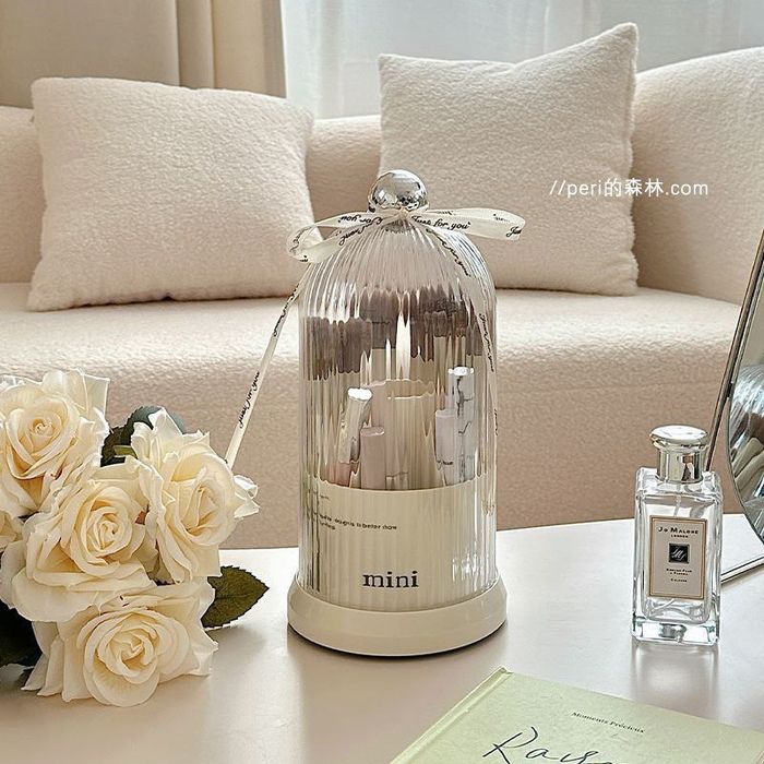 Organayzer dlya kist