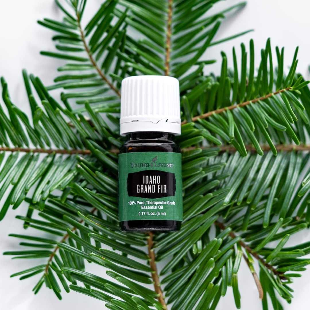 Ulei esential Idaho Grand Fir 5 ml - Young Living