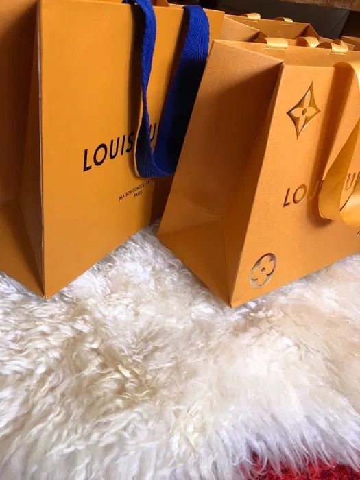 Pungi Louis Vuitton LV punga noi