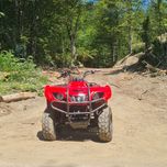 Атеве Yamaha bruin 250
