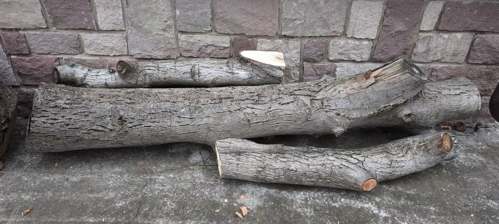 Продавам орехови трупи