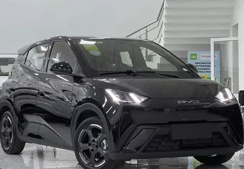 Водитель для семьи поездки по городу Электрокар