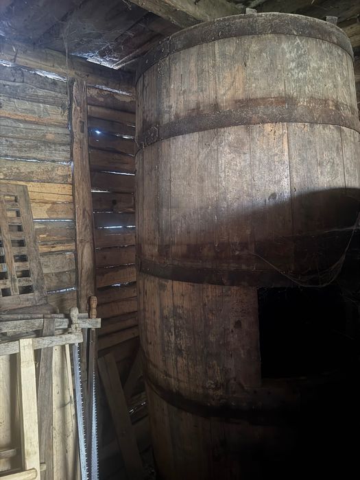 Carator borhot prune