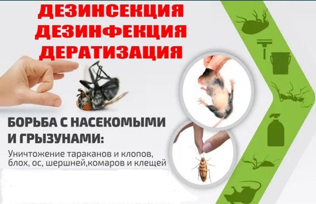 Уничтожение насекомых