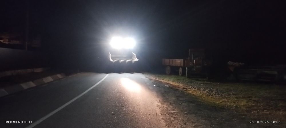 Vând sema 110 cu heder de păioase și de floare pe 4 rânduri .