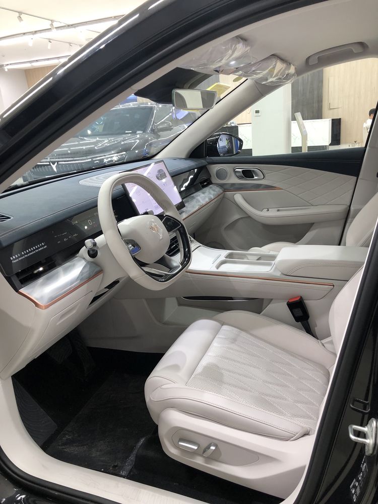 Neta L 310Km Gibrit 1 - yil Kafolat
