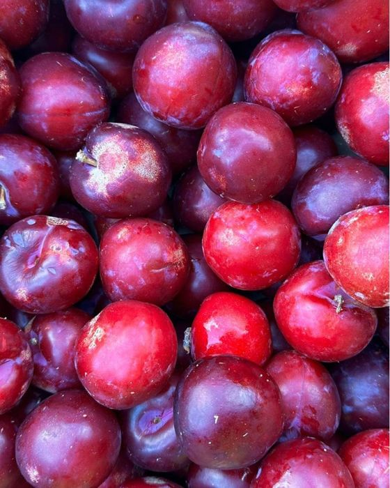 Prune de țuică  ( palinca )