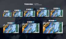 Телевизор TOSHIBA 43C350ME