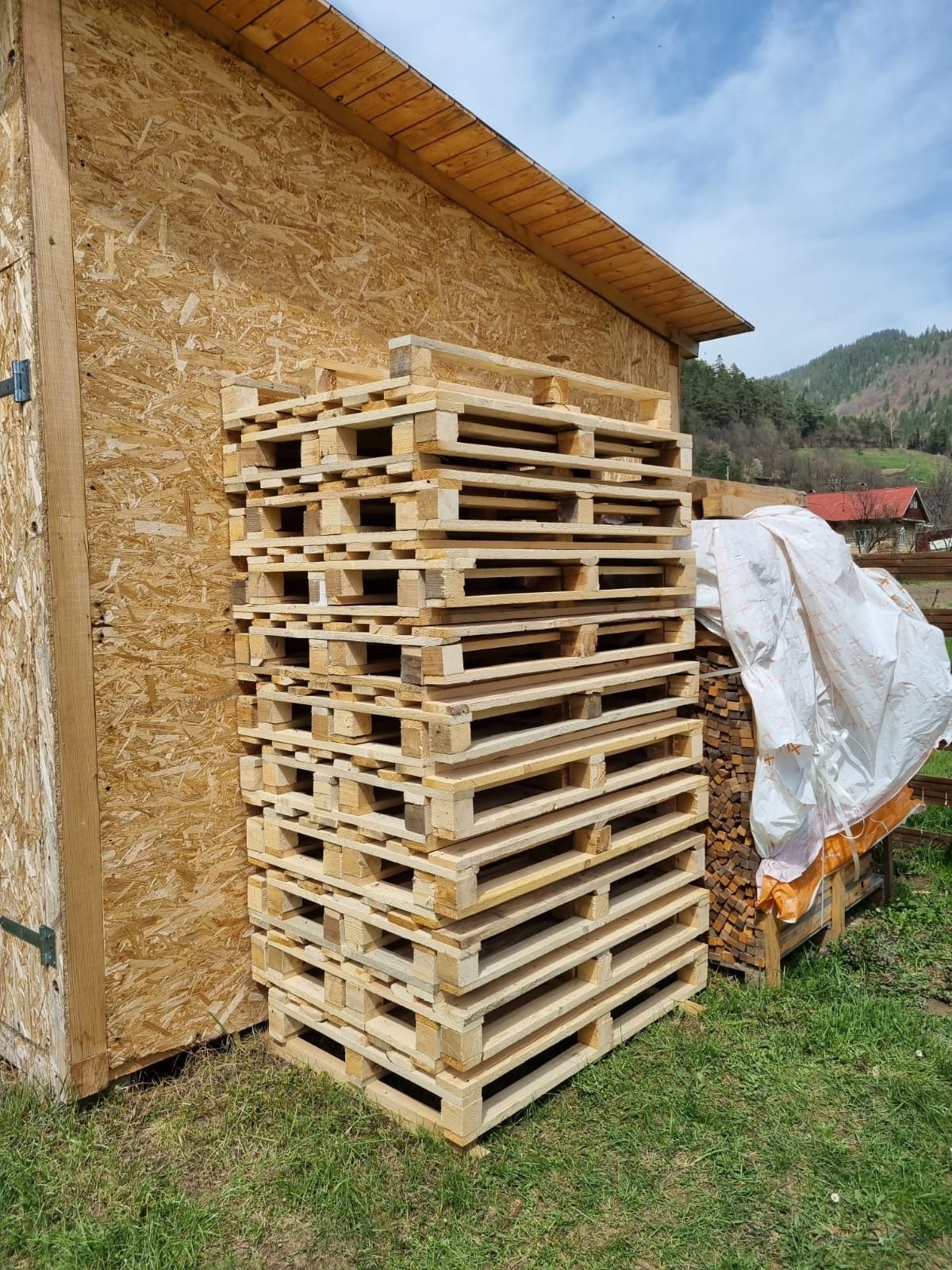 Vând paleți euro/non euro 1200x800