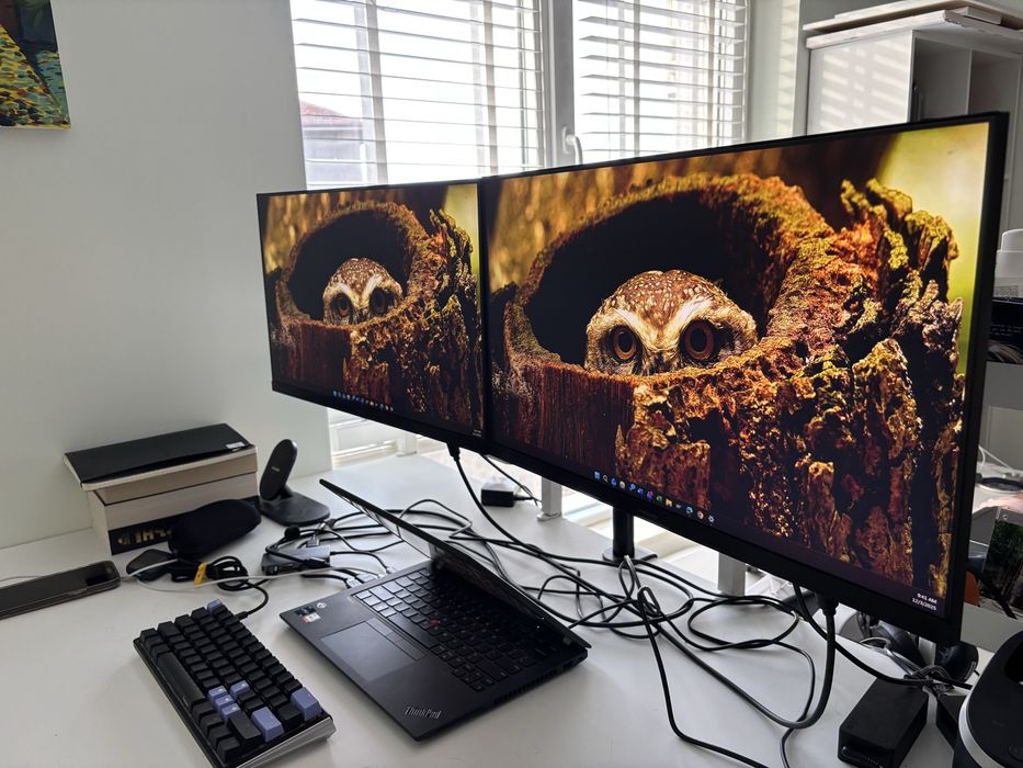 2 бр. Монитори SAMSUNG 24" с вкл. стойка ARCTIC Z2 за бюро