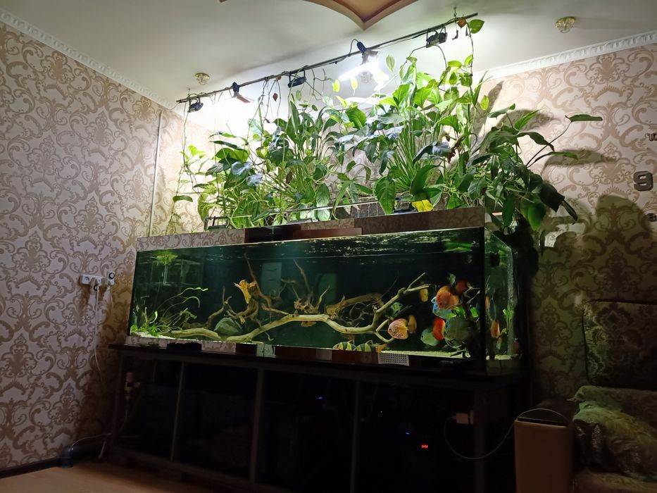 Продам аквариум 1600л.