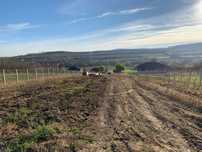 Teren intravilan 2900 mp cu priveliste superba, împrejmuit, utilități