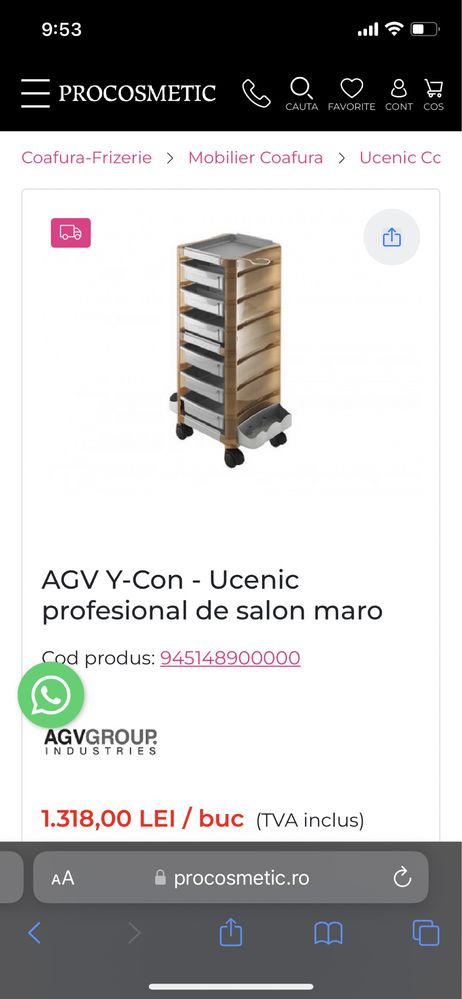 Ucenic profesional