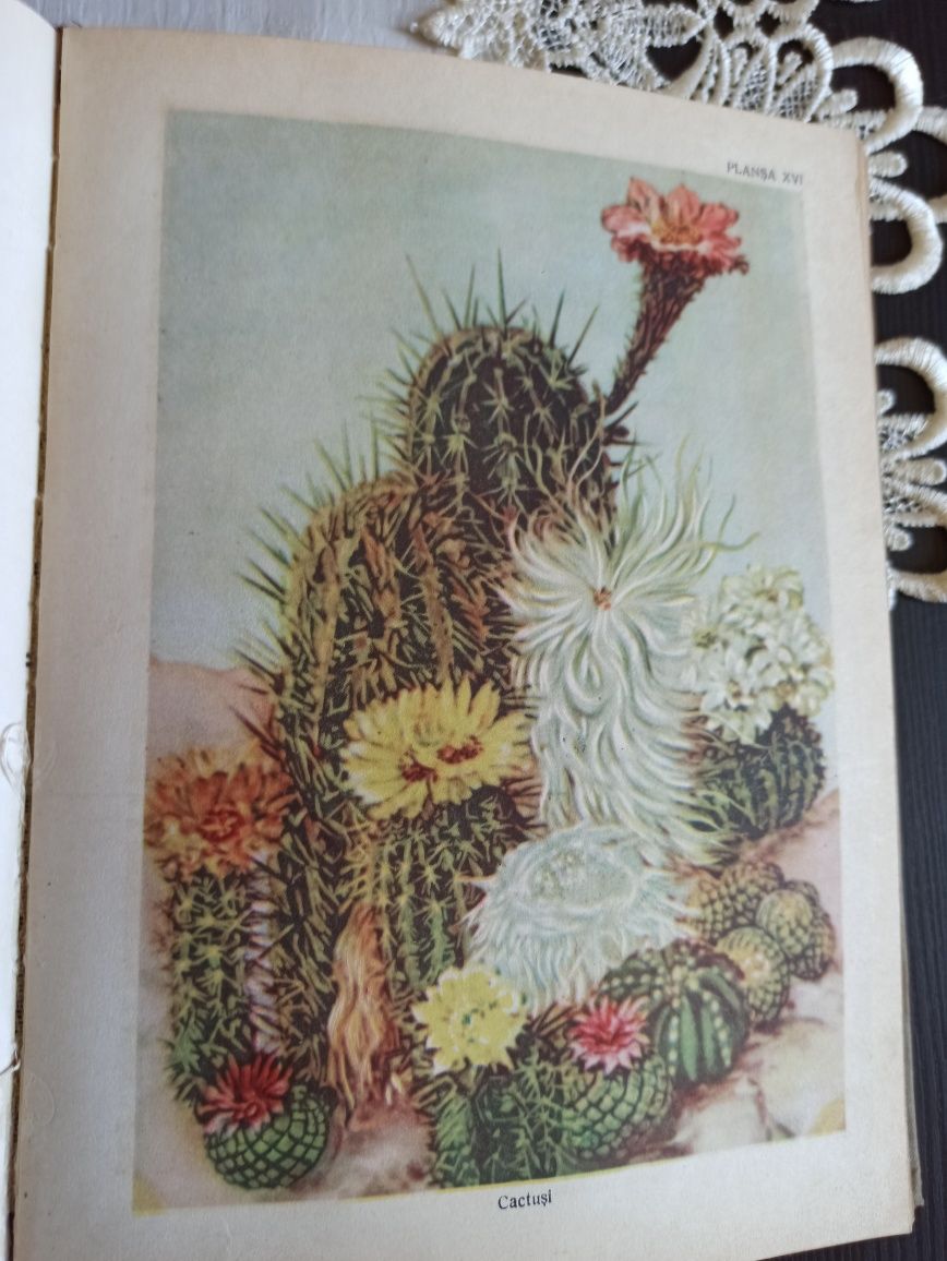 Floricultura, compendiu , manual.