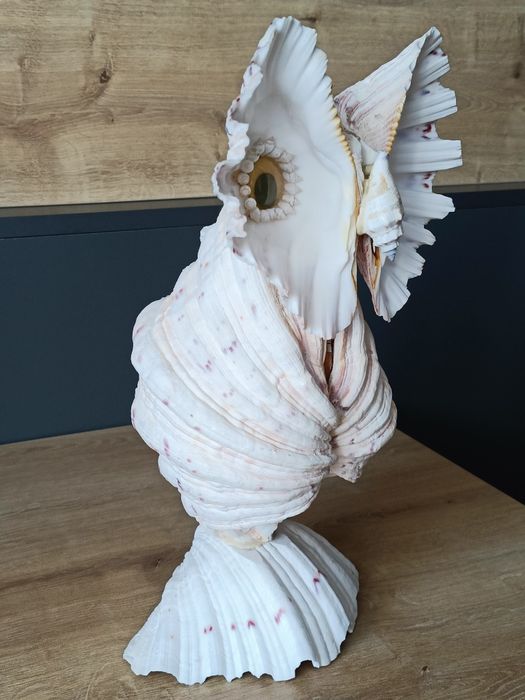 Statuetă bufniță din scoici marine