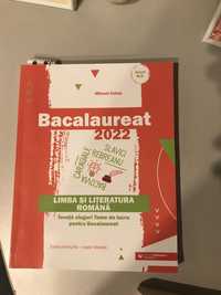 Culegeri Bacalaureat.