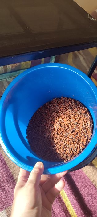 Аквариум (37 л.)  с фильтром, грунтом.