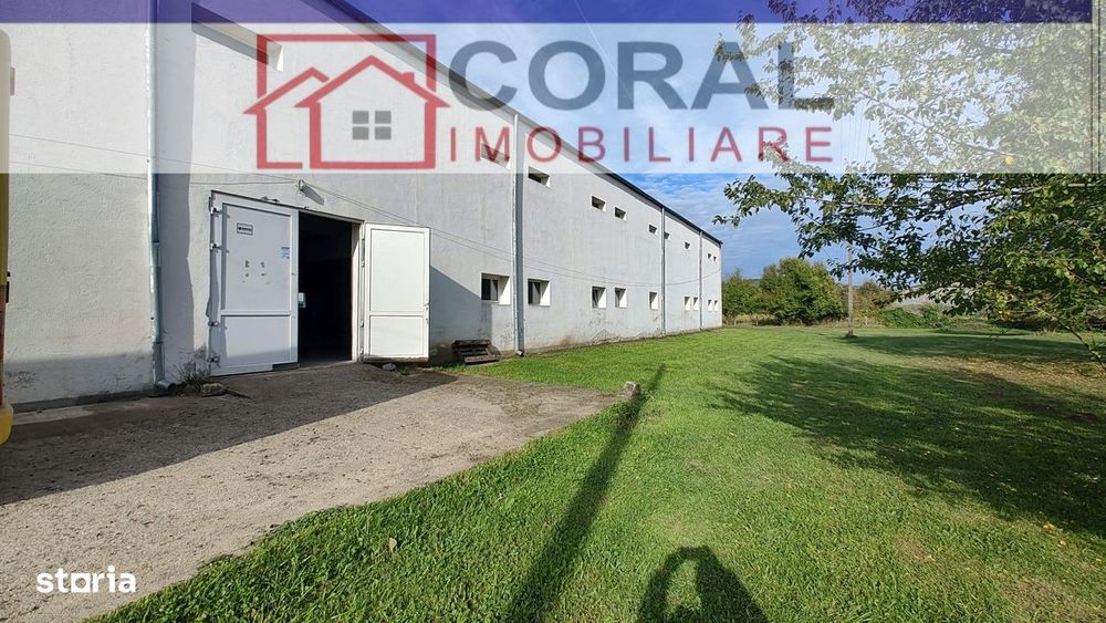 Hala de productie, zona industriala Mintia