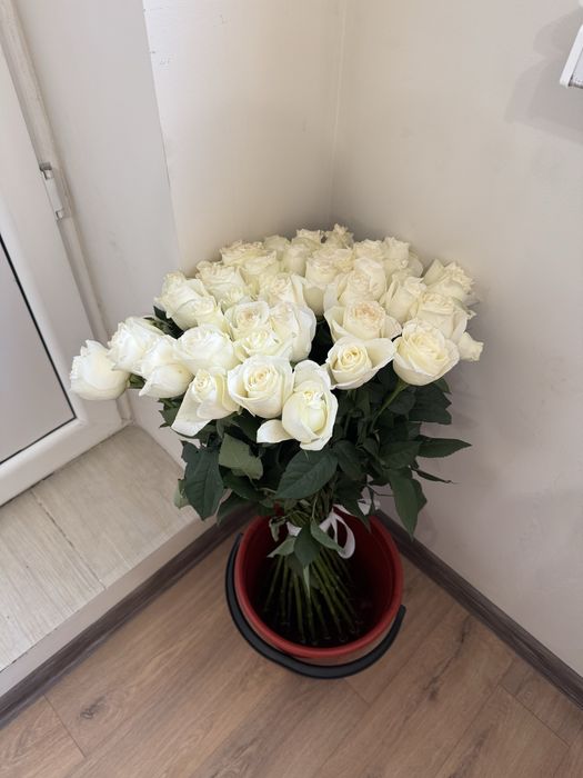 Цветы букет 51 белые розы