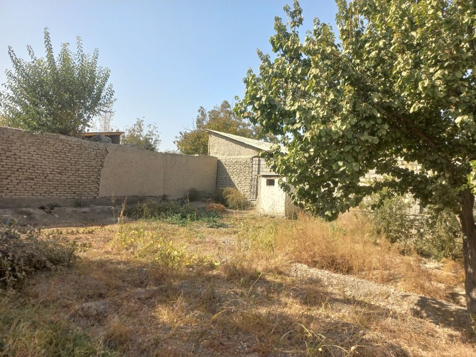 Chinobotda 6 sotix uy sotiladi