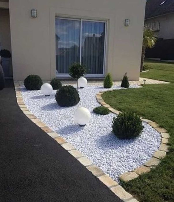 Plante decorative pentru grădini, curți și spații publice