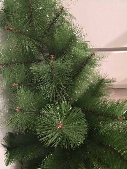 Отдам даром елку