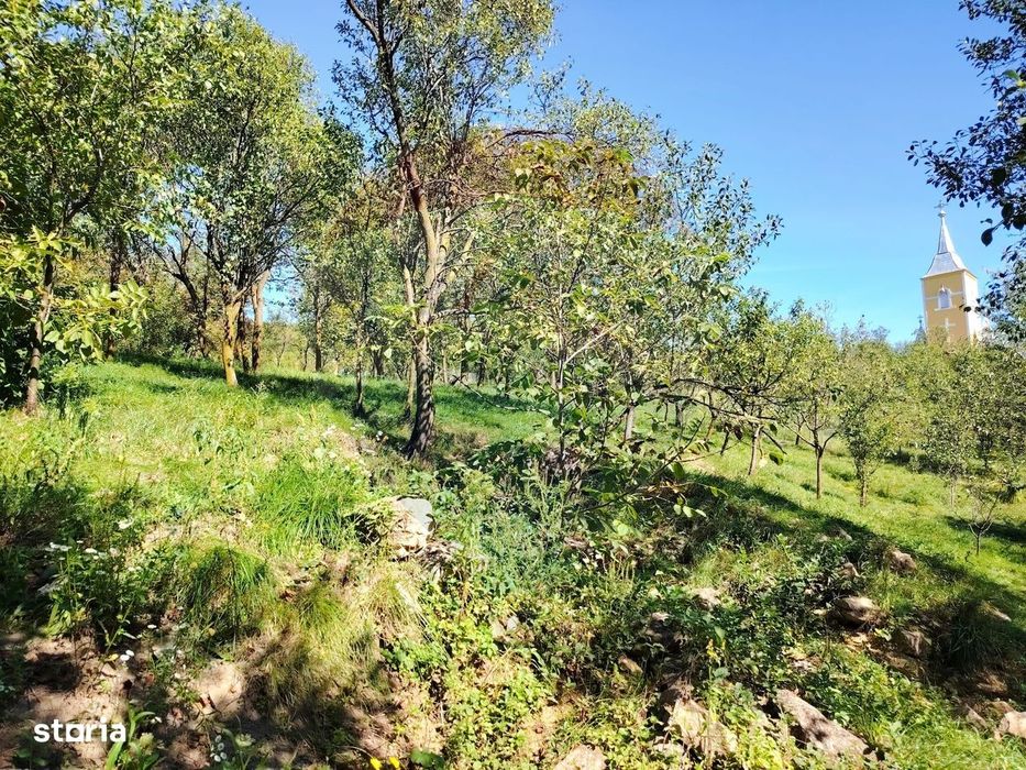 COMISION ZERO Teren de vanzare (30 AR) + casa veche din lemn