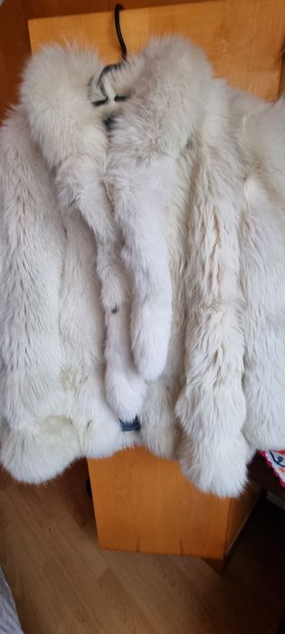 Haina de blana vulpe argintie
