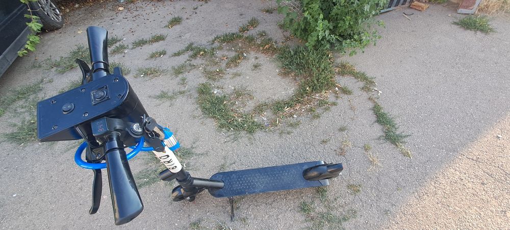 Trotineta BIRD de vânzare