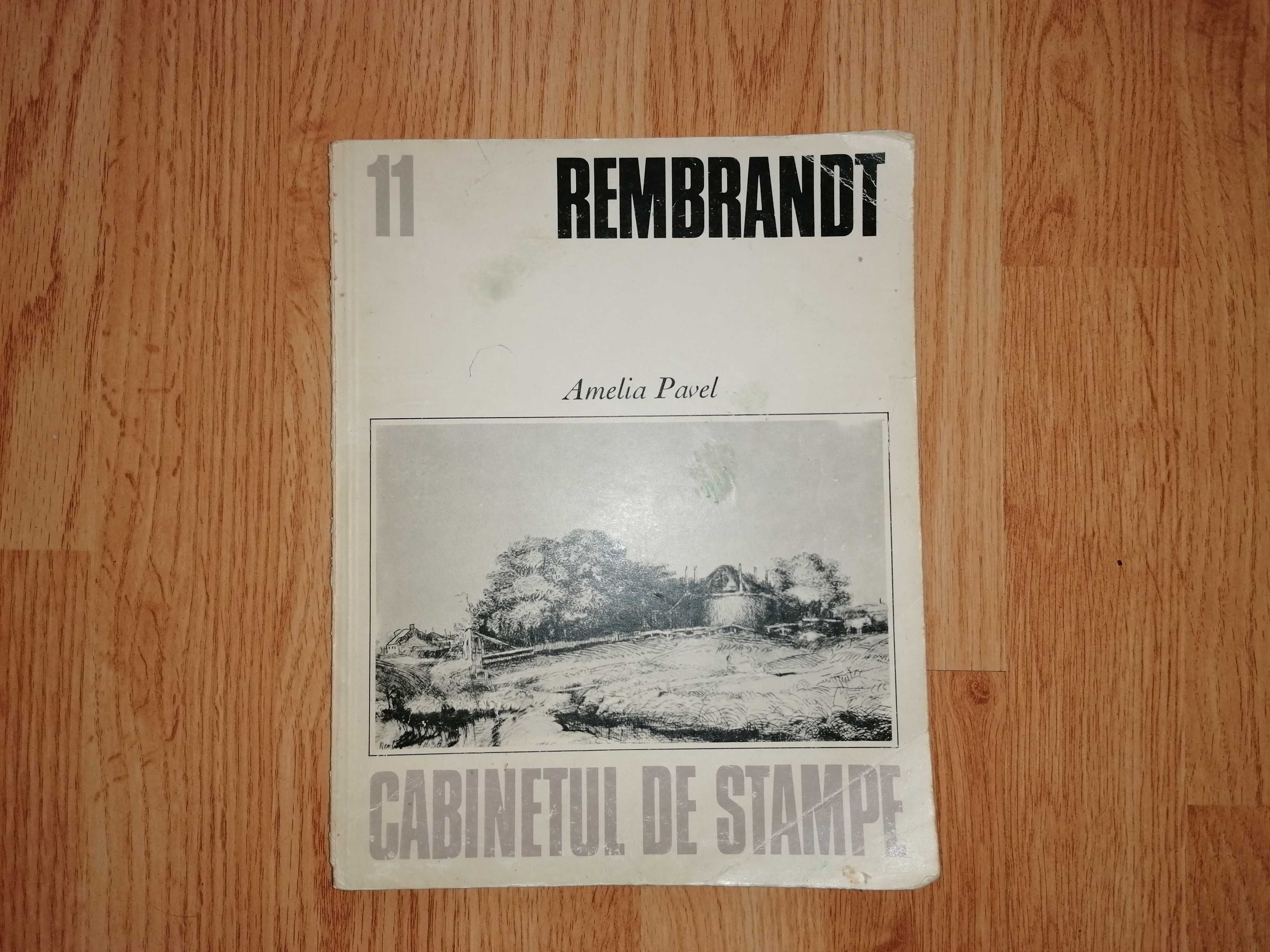 Carte Rembrandt Cabinetul de Stampe