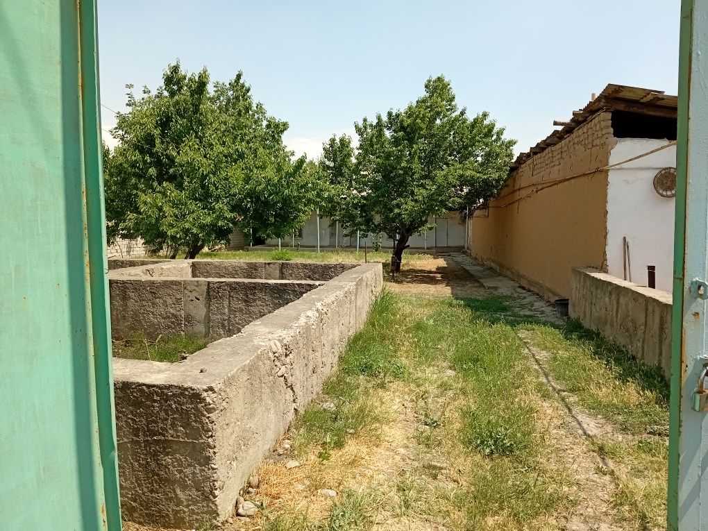 Tashkent violation qibray tumani uymovut mahallasi