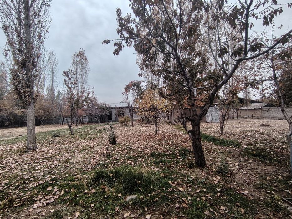 12 sotix yer sotiladi Yuqori Chirchiq Kavardonda