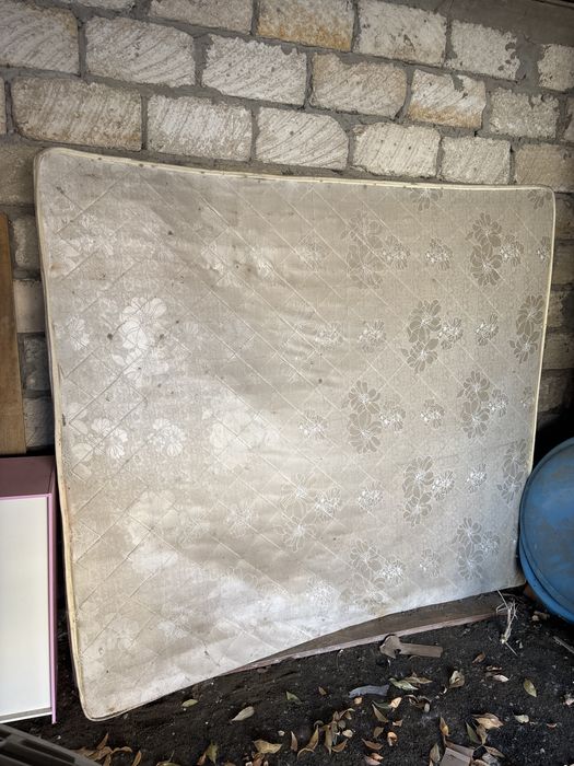 Отдам бесплатно