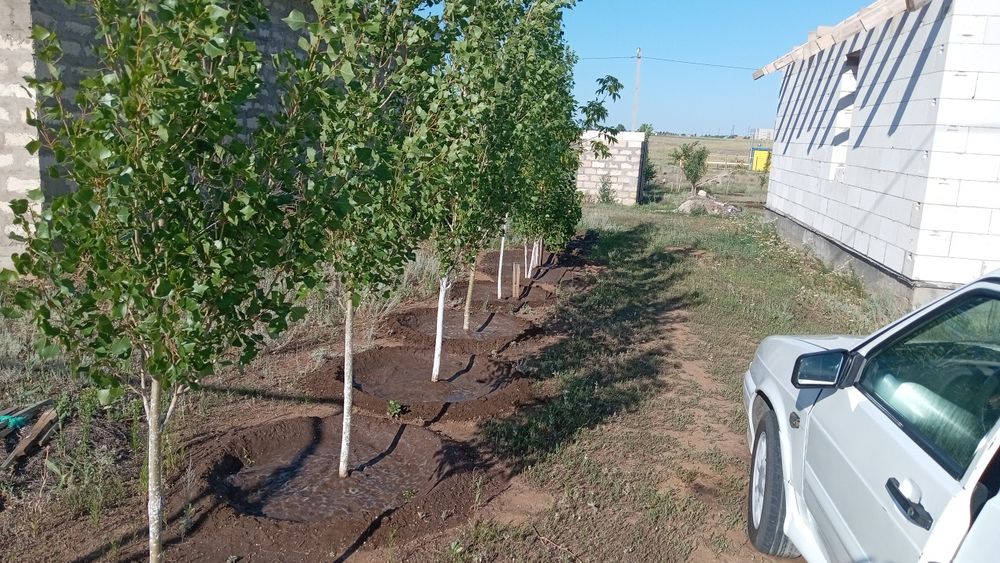 Дом Строящийся 120м2 в Жанаконысе 2,