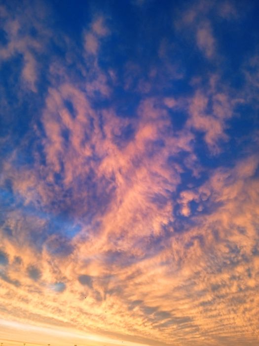 Отделка и ремонт прочие услуги