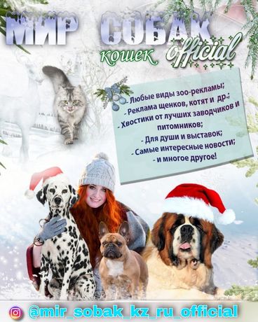 Группа любителей собак Казахстана