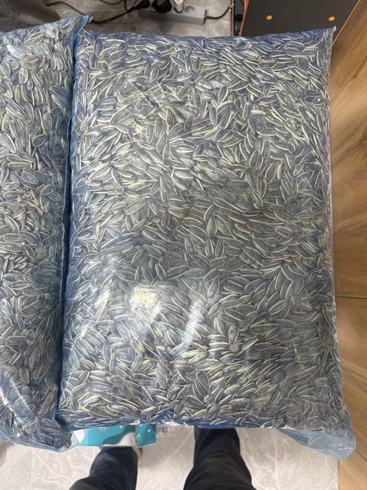 Semechka kungaboqar mega mesniy sotiladi