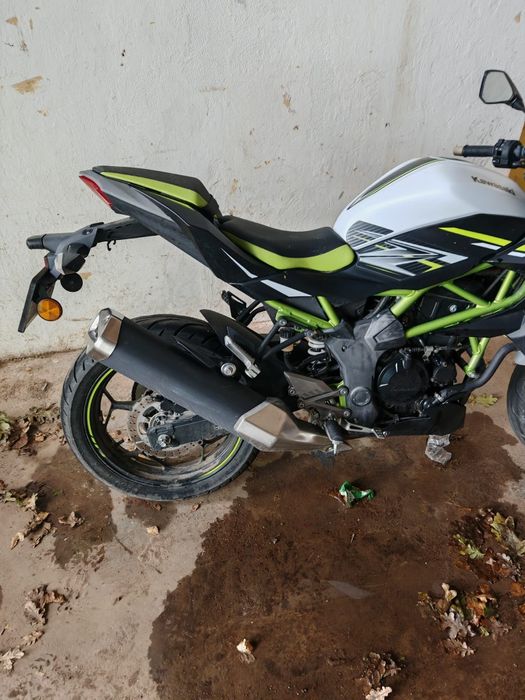 Kawasaki Z125 - 2023