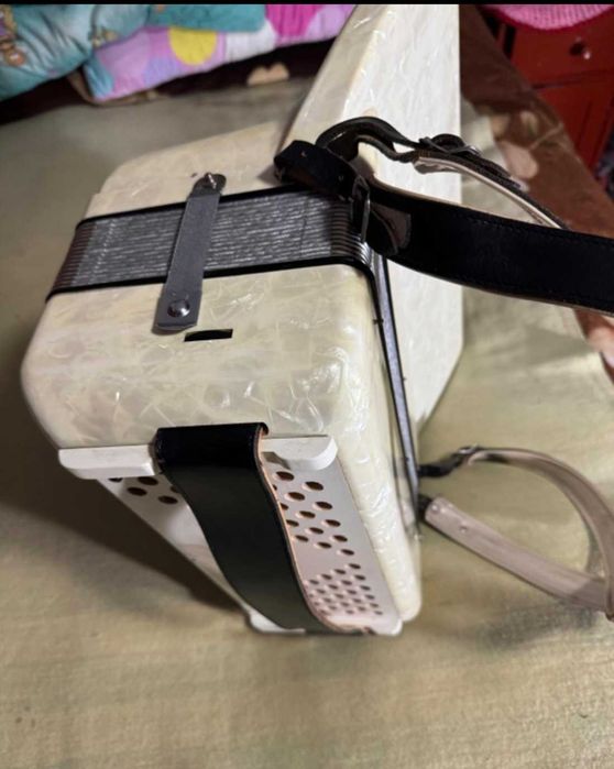 Acordeon Hohner Verdi 1A