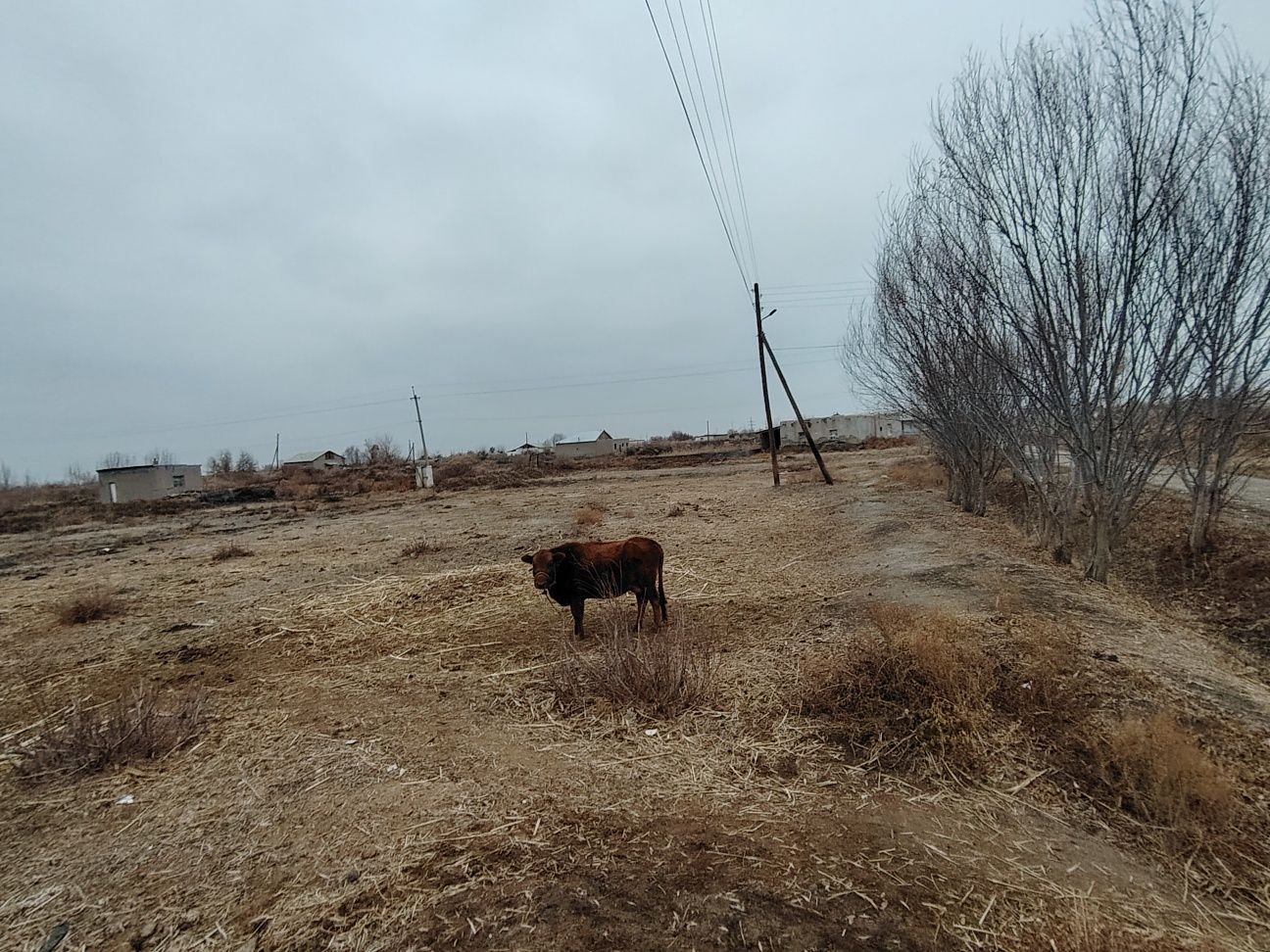 Жер орин сатилади