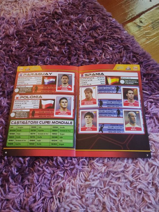 Starurile Fotbalului 2006