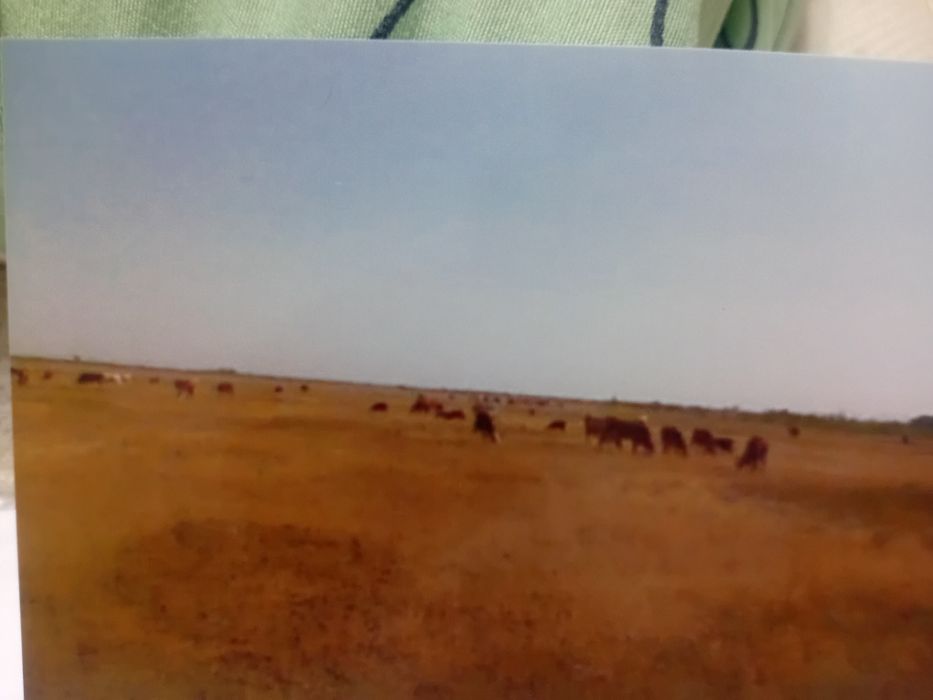 Кх продаётся  имеется  водоём