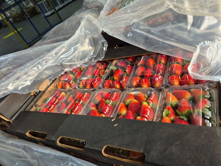 Клубника Египетская