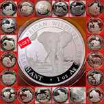 Somalia Elefantul si Leopardul 2011-2025 monede lingou argint 999