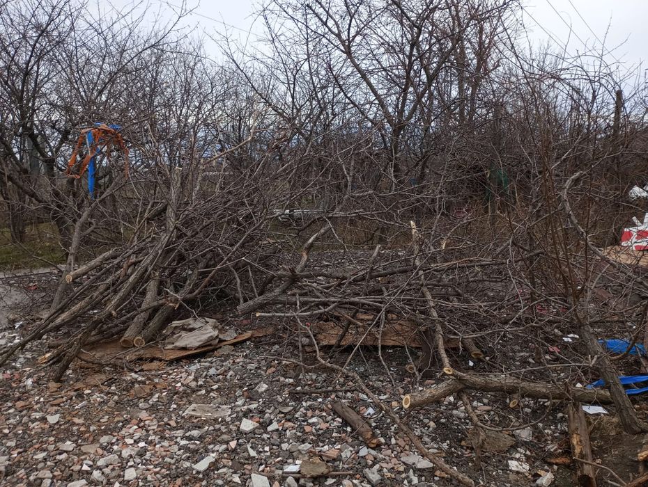 Curatare-cosire spatii verzi transport resturi vegetale