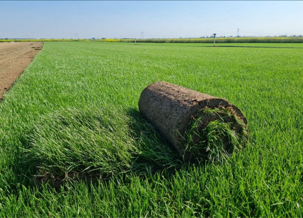 Green delux noi suntem solutia ta