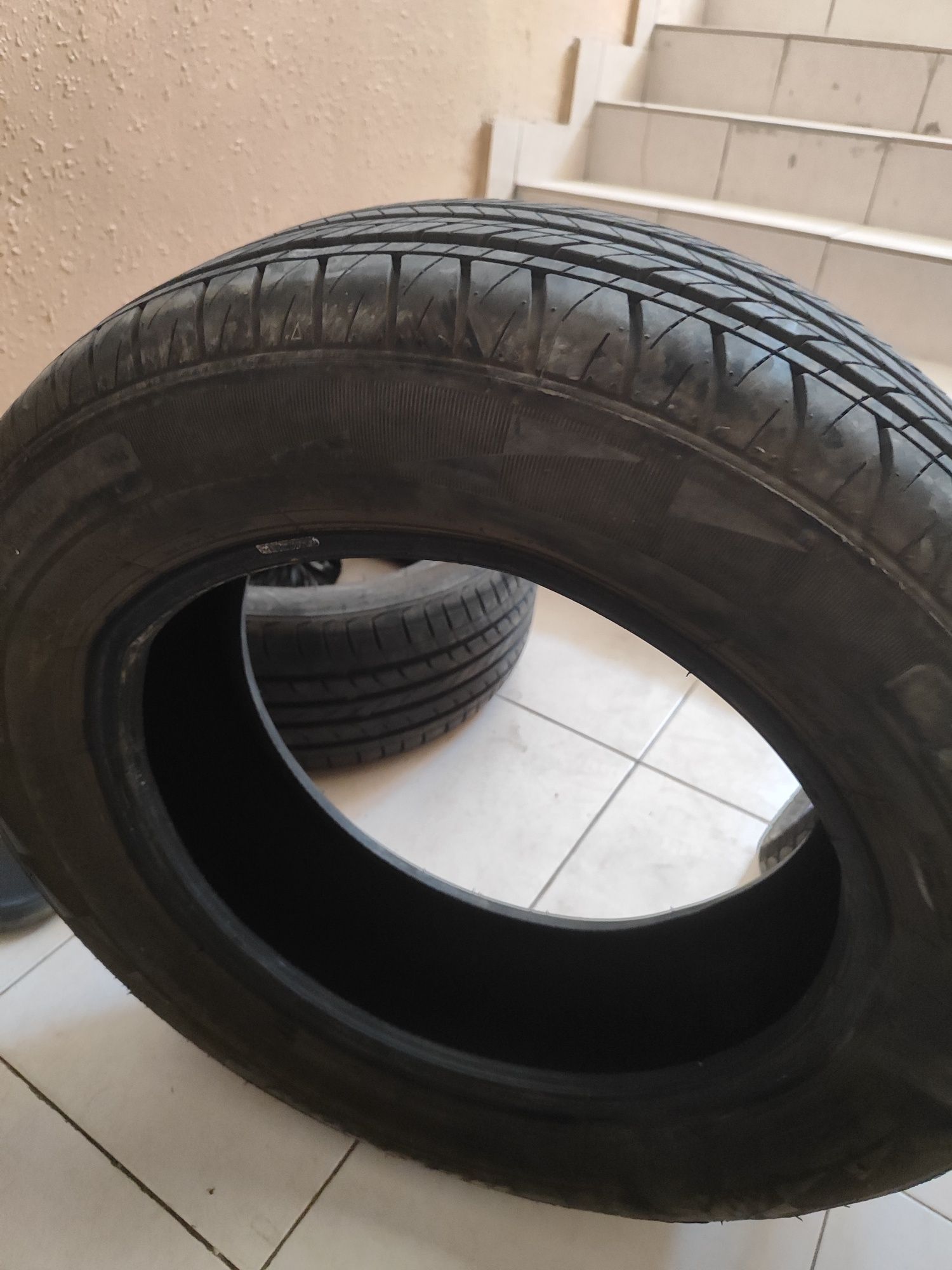 Green max 195×55 1ta  Penton 195×60 1ta