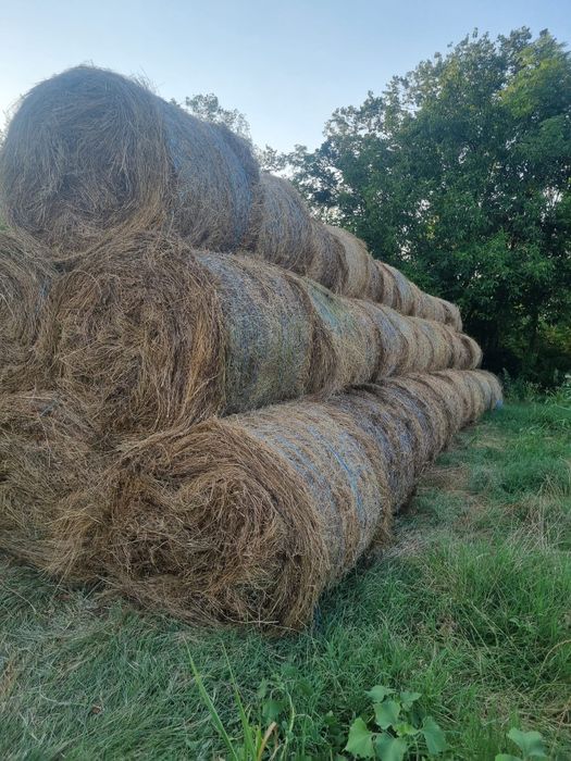 Baloți fân , dimensiune 120/120 , asigur transport