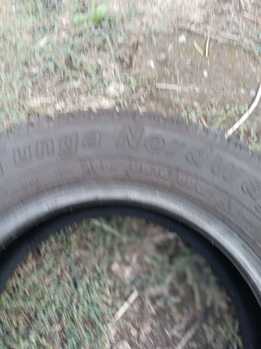 Зимние шины Tunga